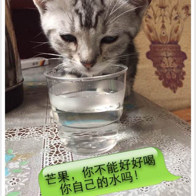 买张日本京都光华女子大学文凭毕业证